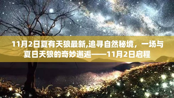 夏日天狼最新追踪，追寻自然秘境，与奇妙邂逅启程于11月2日