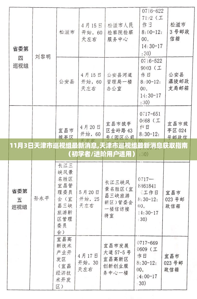 天津市巡视组最新消息获取指南，从初学者到进阶用户的全方位指南（11月3日更新）