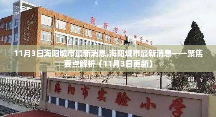 11月3日海阳城市最新消息全面解析