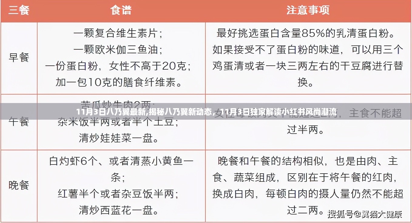 独家解读，八乃翼最新动态与小红书风尚潮流揭秘
