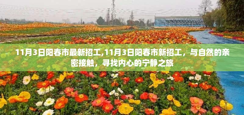 11月3日阳春市新招工，与自然共舞，探寻内心宁静之旅