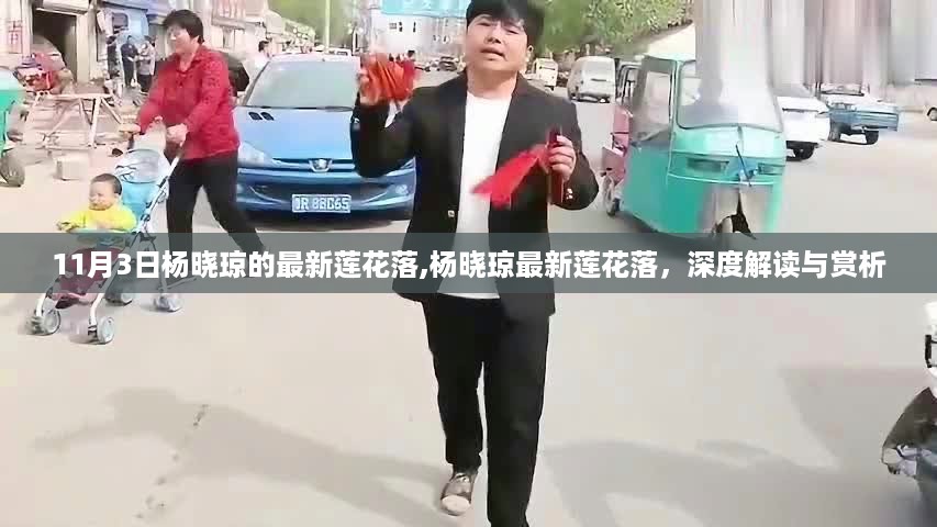 杨晓琼最新莲花落深度解读与赏析，11月3日精彩呈现！