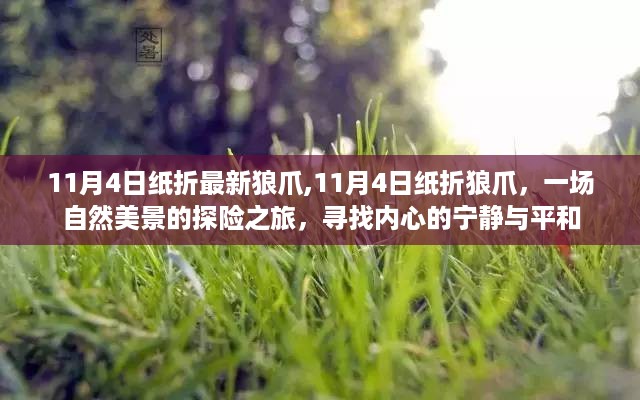 探索自然美景，寻找内心宁静与平和——最新纸折狼爪探险之旅