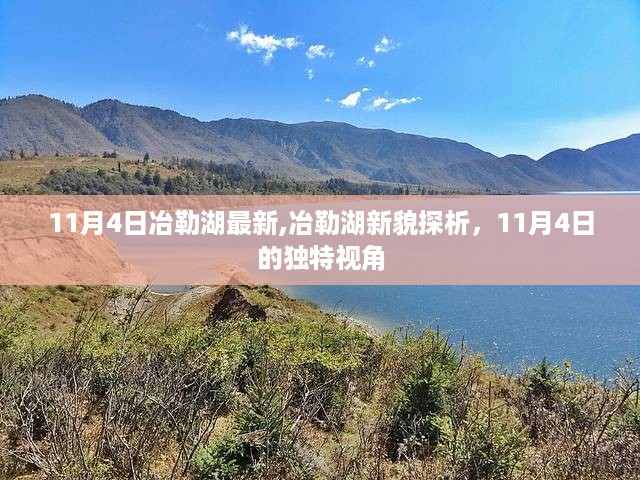 11月4日独特视角，冶勒湖新貌深度探析