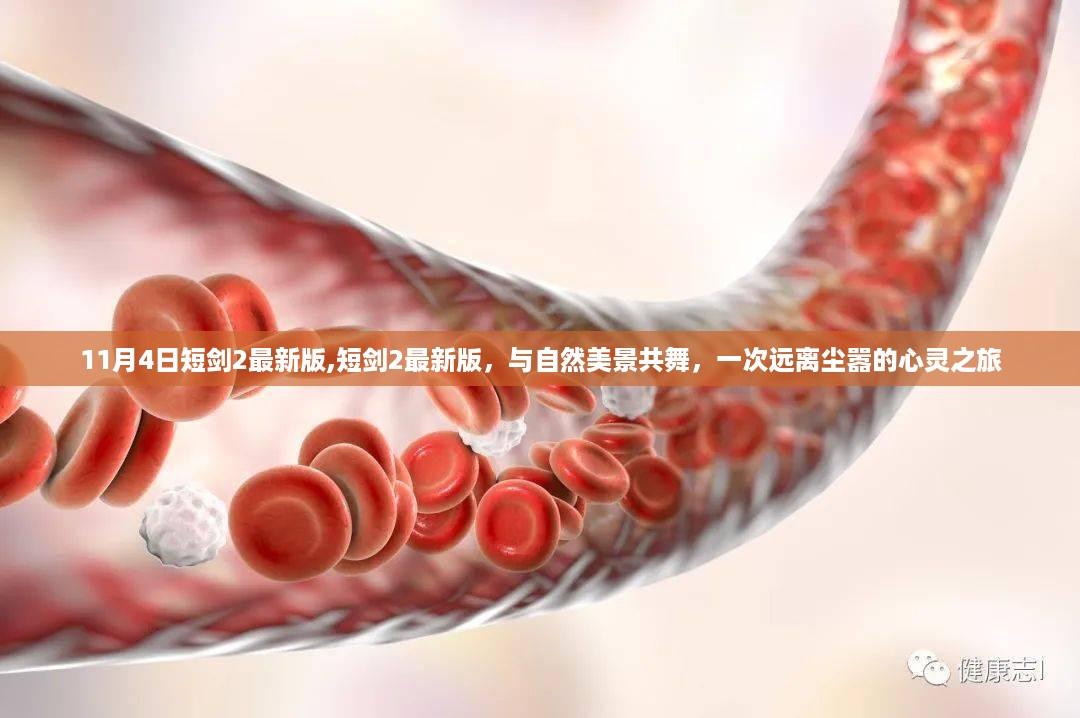 橘虞初梦 第24页