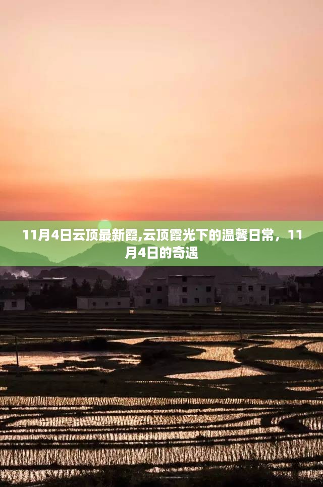 云顶霞光下的温馨日常，11月4日奇遇记