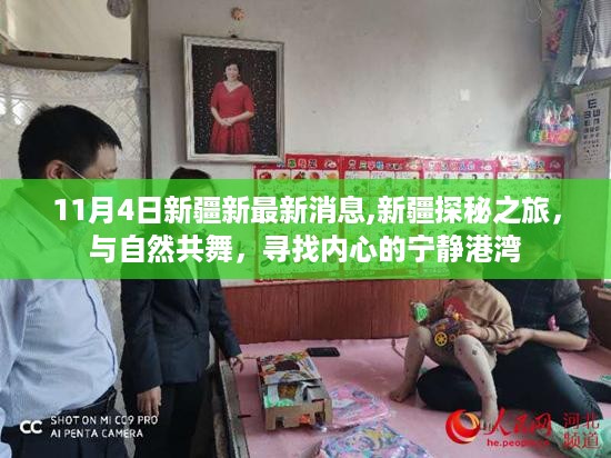 新疆探秘之旅，与自然共舞，探寻内心的宁静港湾（最新消息）