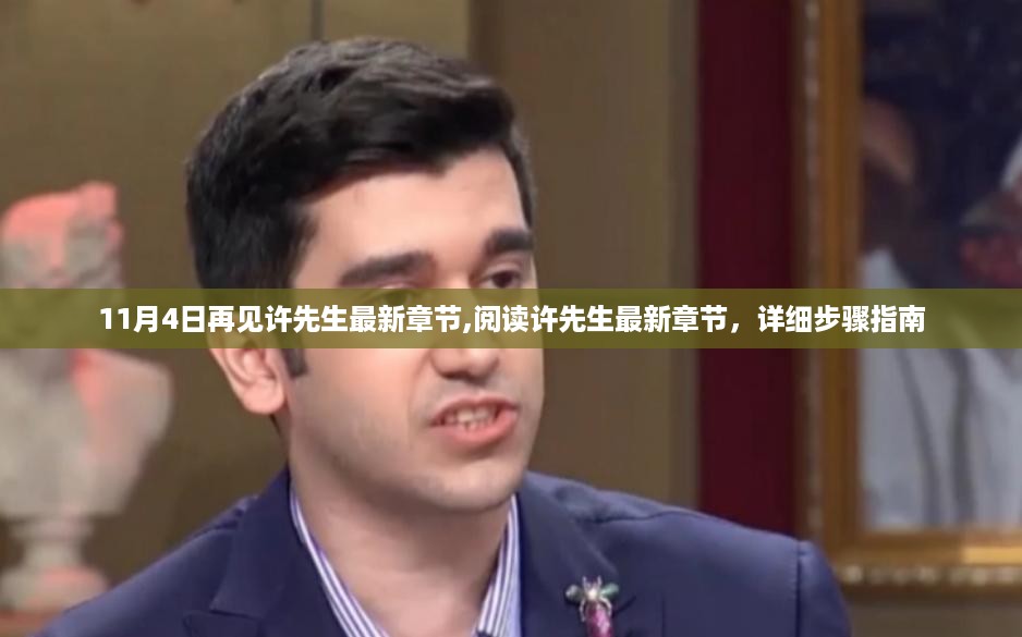 许先生最新章节阅读指南及详细步骤