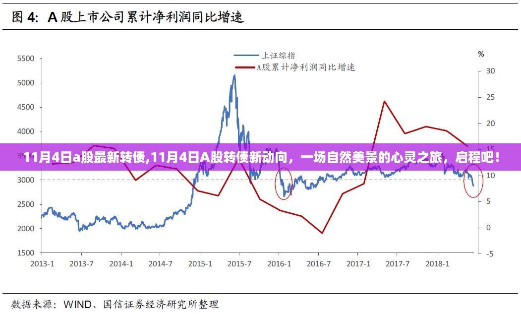 11月4日A股转债新动向，自然美景的心灵之旅启程