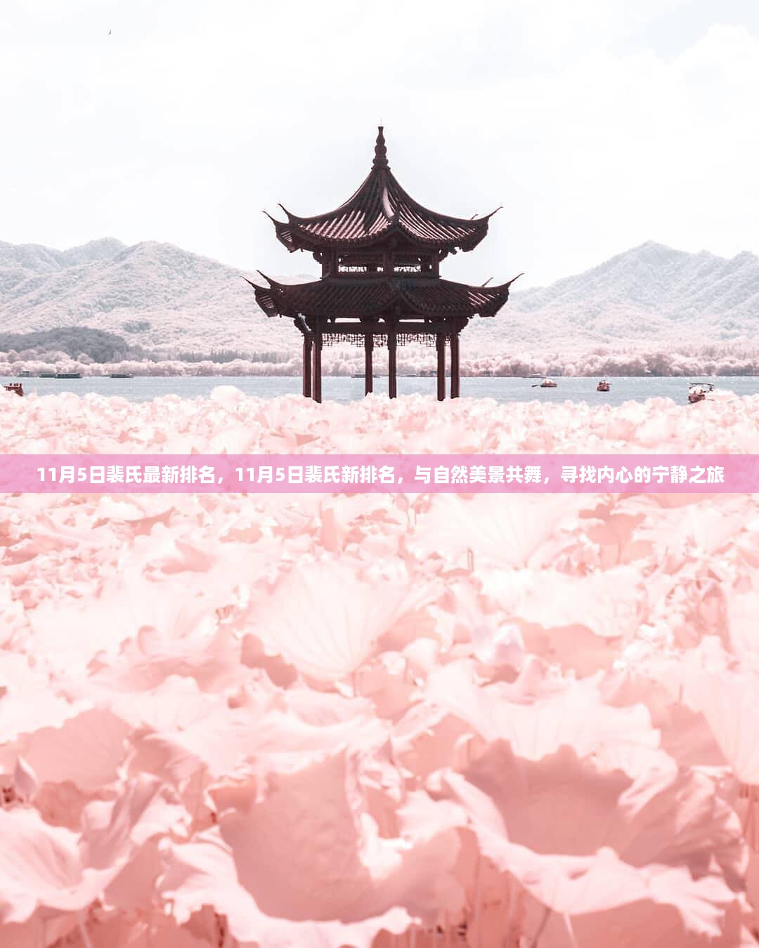 11月5日裴氏最新排名，与自然共舞，探寻内心宁静之旅