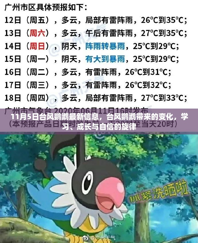 台风鹦鹉的最新动态，变化中的学习与成长旋律，自信展现风采