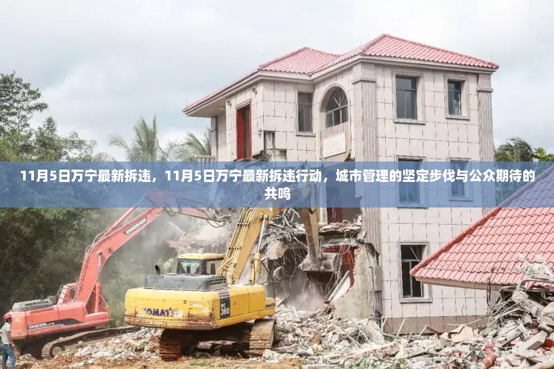 目不转睛 第23页
