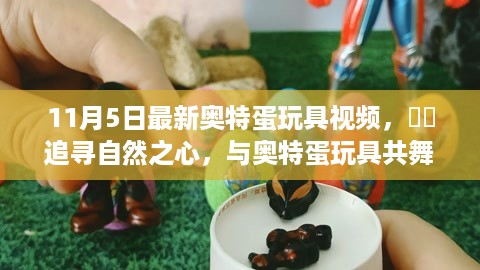 11月5日奥特蛋玩具视频，与自然共舞，探索宁静角落的奇幻之旅