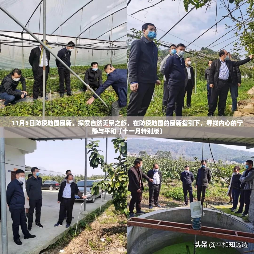 十一月特别版，防疫地图指引下的自然美景探索之旅，寻找内心宁静与平和