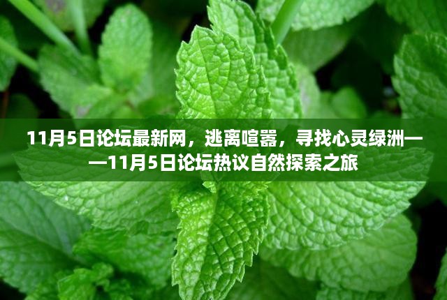 心灵绿洲探寻之旅，最新论坛热议自然探索之旅（11月5日）