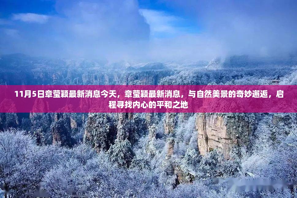 章莹颖最新动态，与自然美景的奇妙相遇，启程寻找内心平和之旅