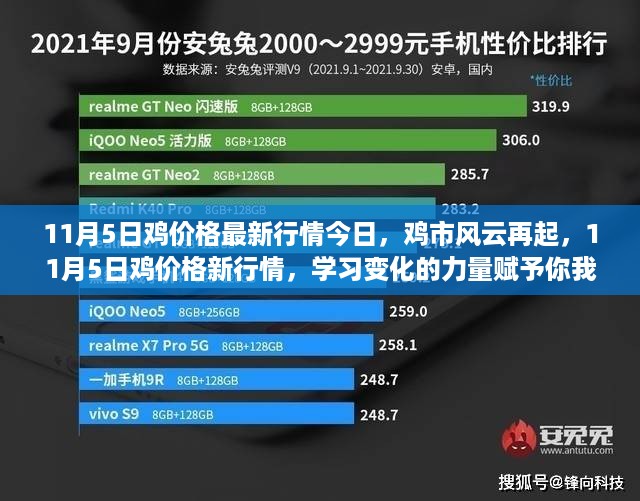 鸡市风云再起，今日行情揭秘，学习变化的力量照亮鸡市未来