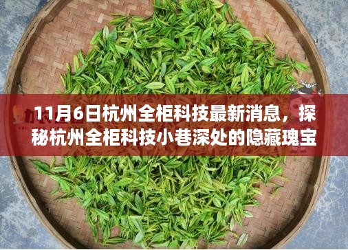 探秘杭州全柜科技，小巷深处的隐藏瑰宝，最新消息揭秘惊喜之旅
