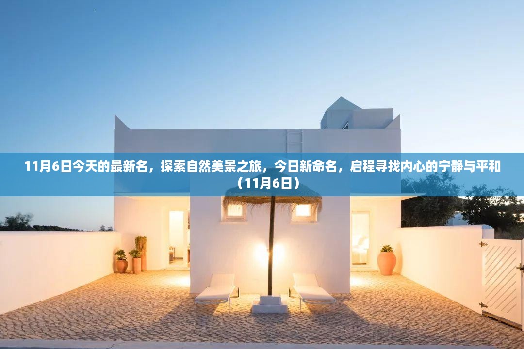 废寝忘食 第22页