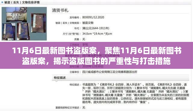 11月6日图书盗版案揭秘，盗版图书的严重性与打击措施
