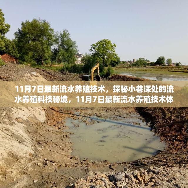 心急如焚 第18页