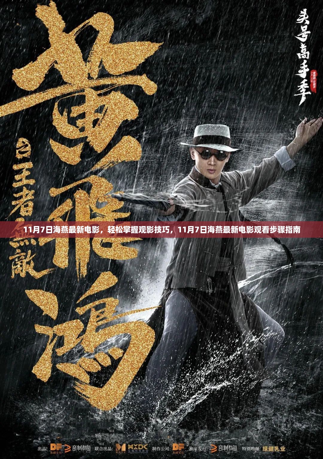 11月7日海燕最新电影，观影技巧与观看步骤指南