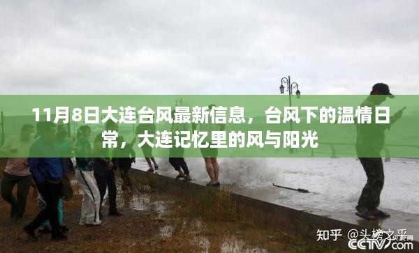 大连台风最新动态，风雨中的温情与阳光记忆