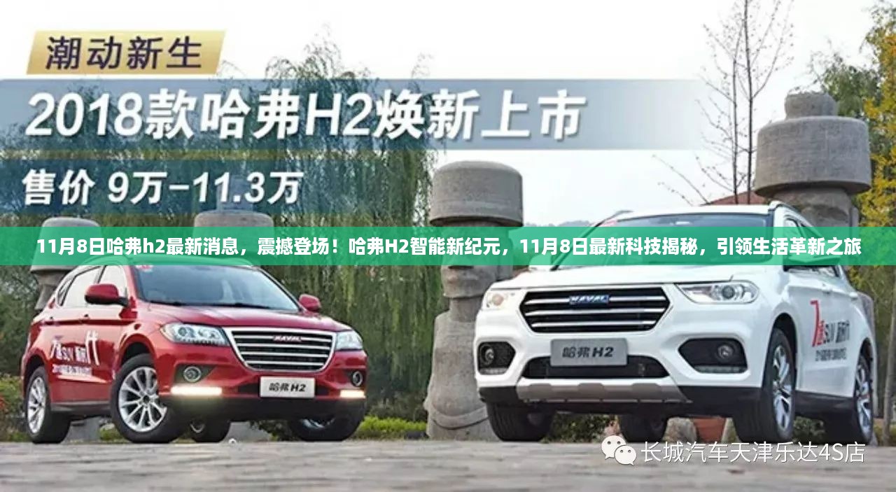 张牙舞爪 第17页