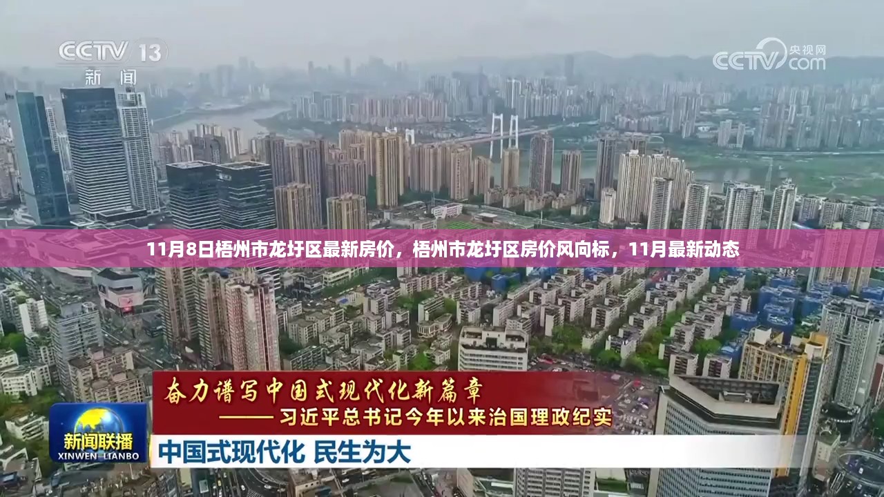 梧州市龙圩区房价动态，最新动态与趋势分析（11月版）