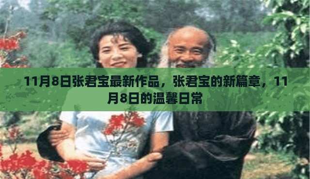 张君宝新篇章，温馨日常的启示（11月8日作品）