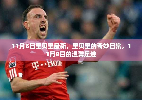 11月8日里贝里的奇妙日常，温馨足迹见证