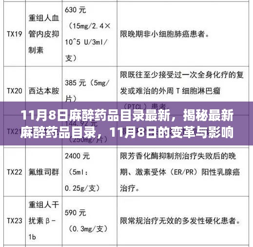 揭秘，最新麻醉药品目录变革与影响——11月8日更新概览
