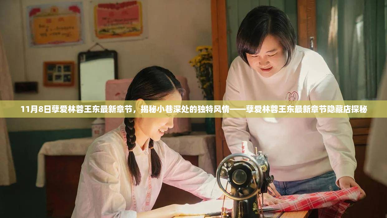 揭秘小巷深处的独特风情，孽爱林蓉王东最新章节隐藏店探秘之旅