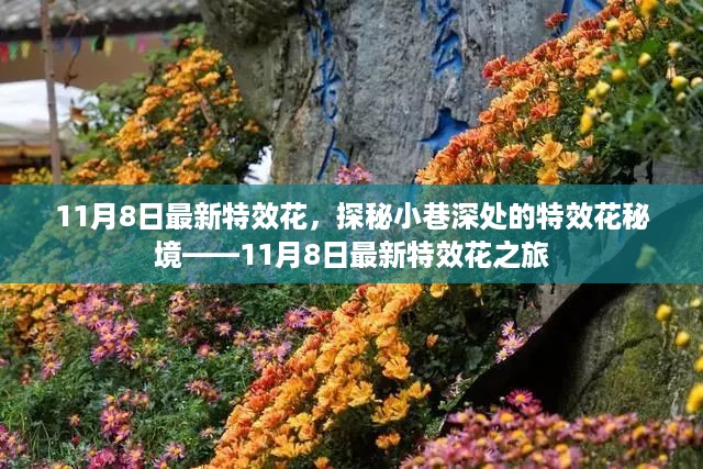 神采奕奕 第20页