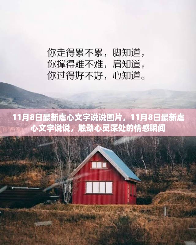 11月8日最新虐心文字说说，触动心灵深处的瞬间