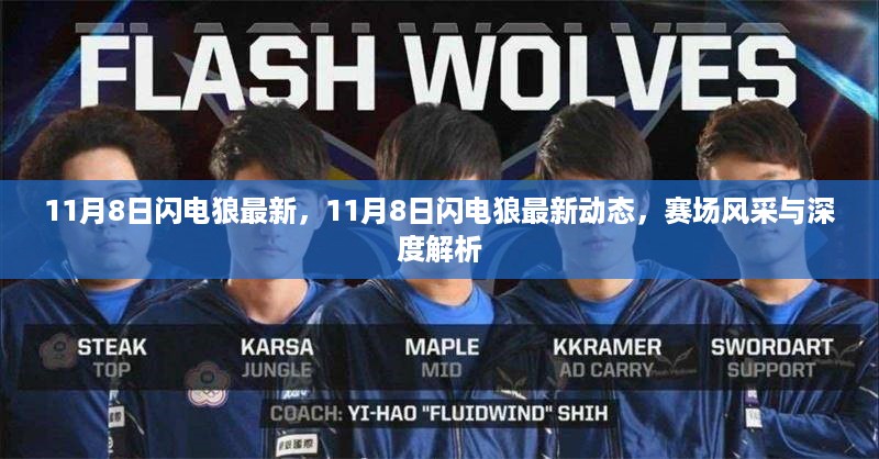 11月8日闪电狼最新动态，赛场风采与深度解析