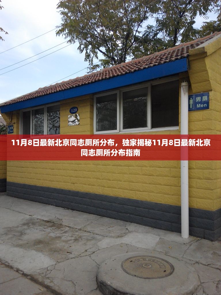 花开无言 第20页