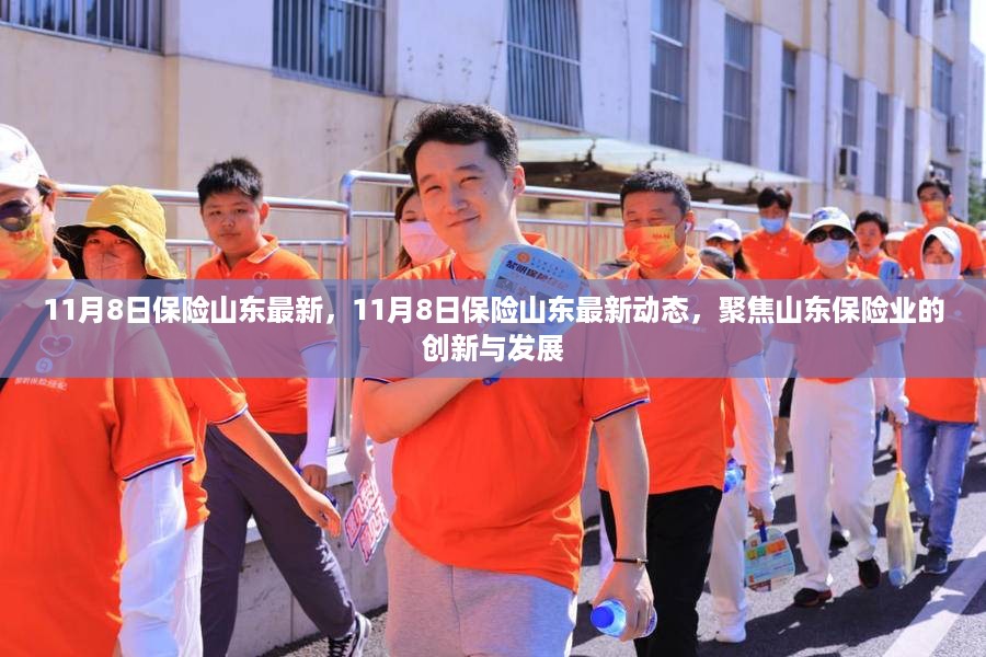 山东保险业最新动态聚焦，创新与发展在行动（11月8日更新）