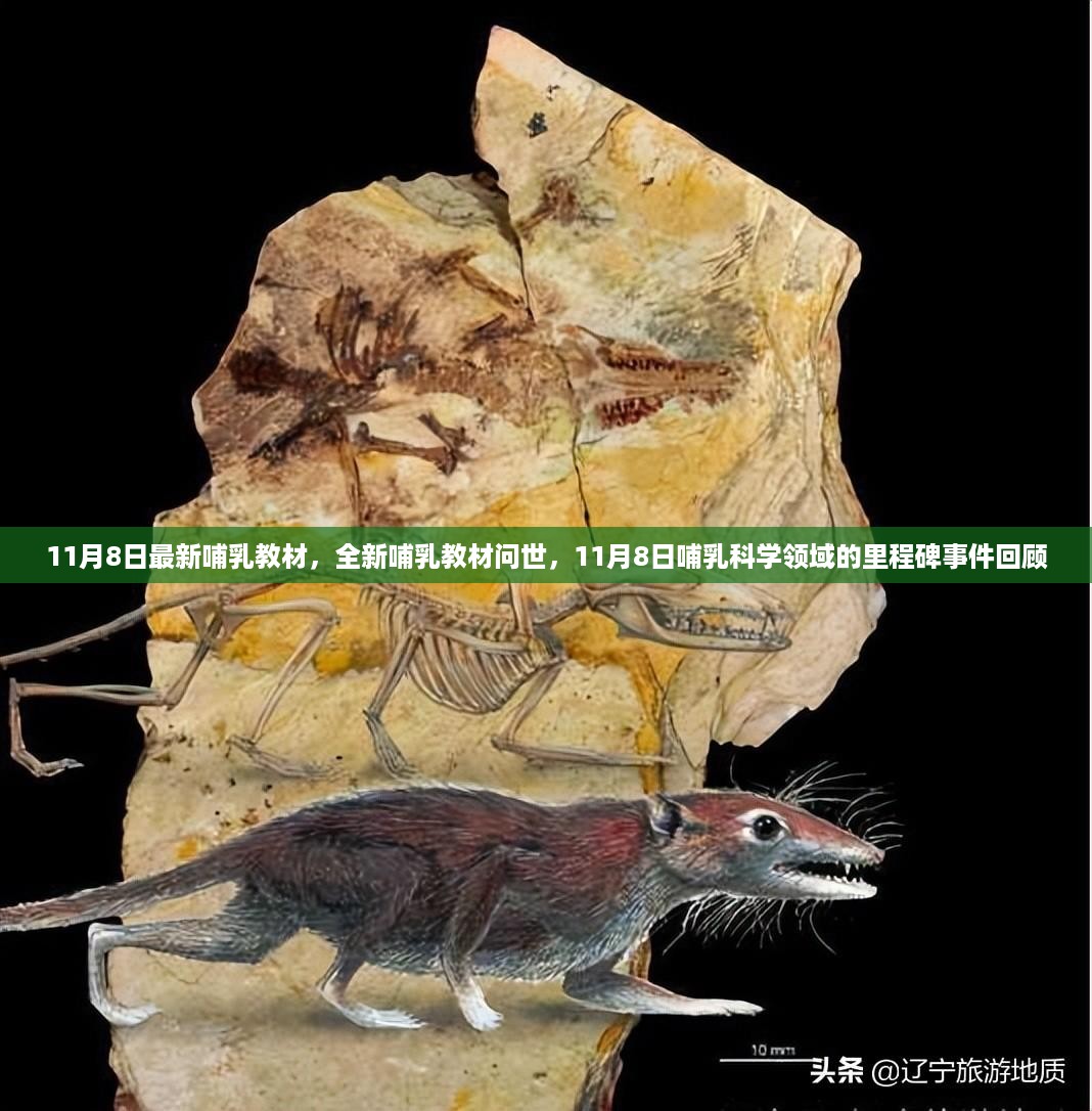 容光焕发 第18页