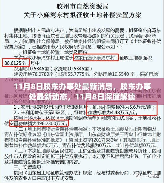 胶东办事处最新动态深度解读，11月8日最新消息揭秘