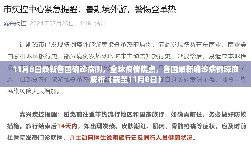 截至11月8日全球疫情焦点，各国最新确诊病例深度解析