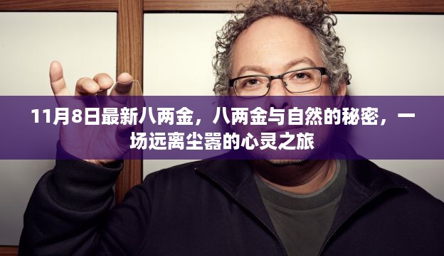 八两金与自然的秘密，心灵之旅启程，探寻远离尘嚣的自然奥秘