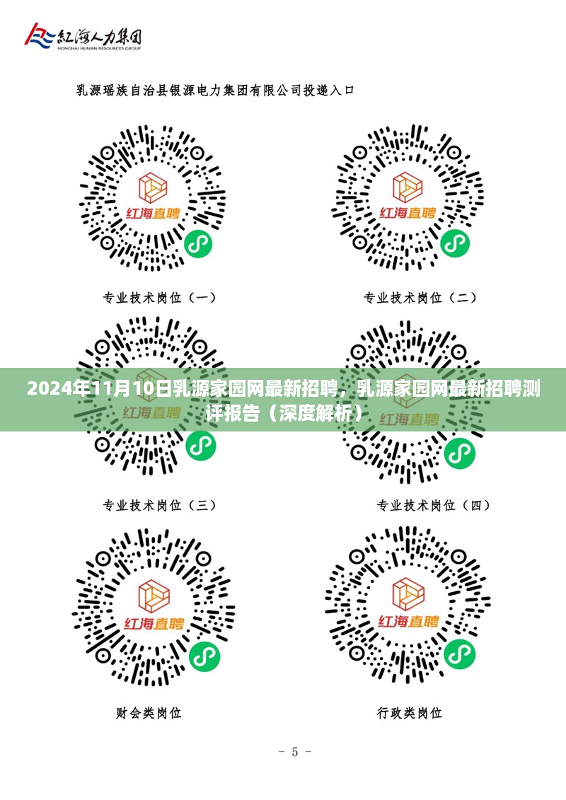 乳源家园网最新招聘测评报告深度解析，2024年11月10日招聘动态概览
