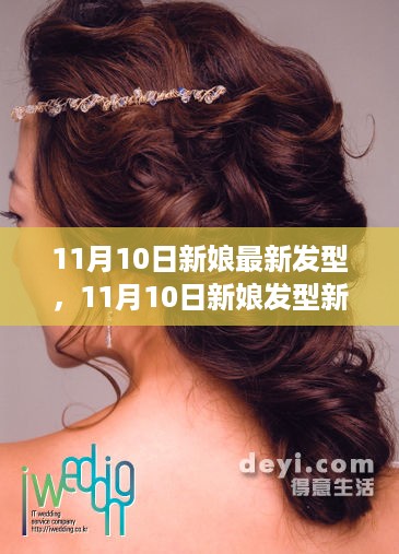深度探讨与观点阐述，11月10日新娘发型新潮与最新流行趋势