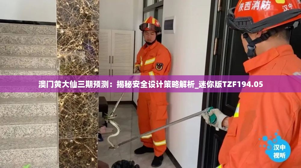 澳门黄大仙三期预测：揭秘安全设计策略解析_迷你版TZF194.05