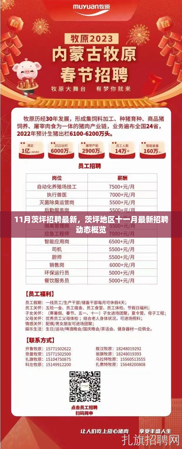心急如焚 第13页
