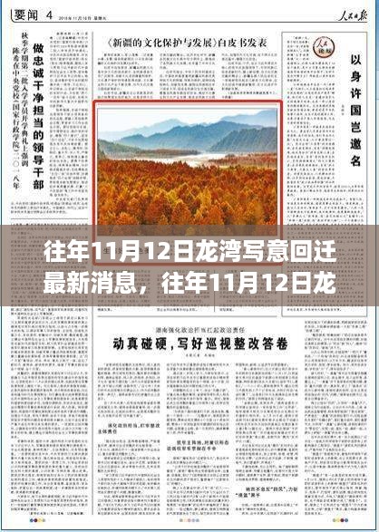 龙湾写意回迁最新进展深度解析，三大要点揭秘历年11月12日回迁消息