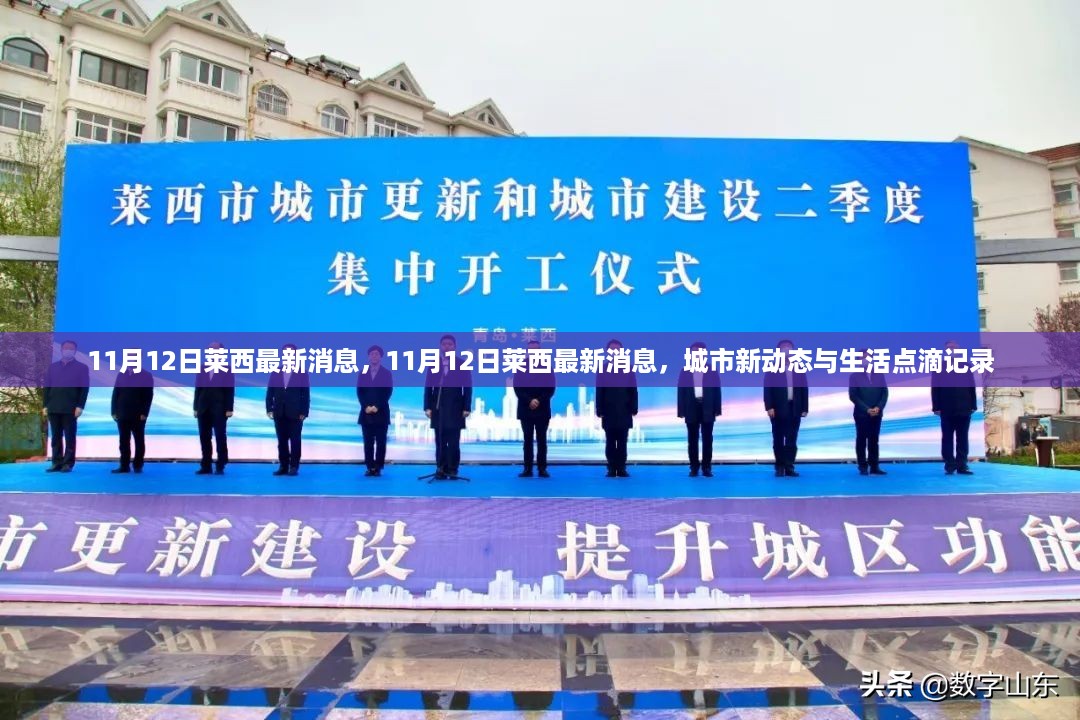 莱西城市新动态与生活点滴记录（11月12日最新消息）