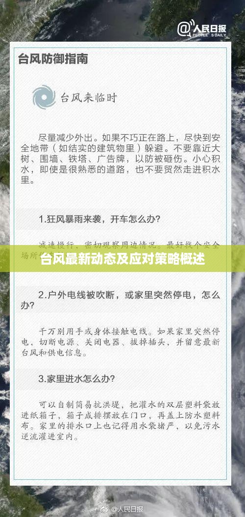 台风最新动态及应对策略概述