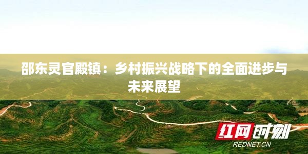 邵东灵官殿镇：乡村振兴战略下的全面进步与未来展望